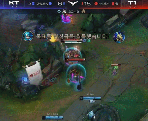 见的那条 见的那条